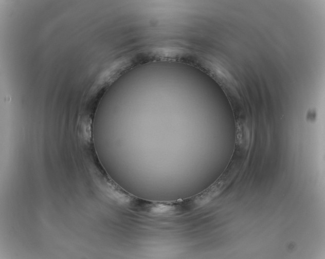 X0000091580718200709051100