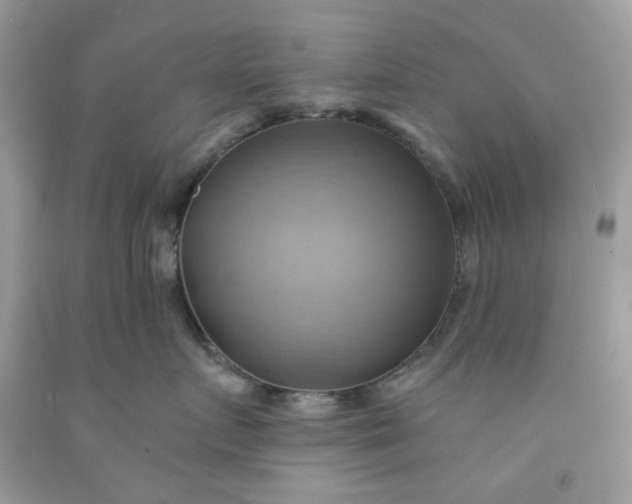 X0000091580719200709051100