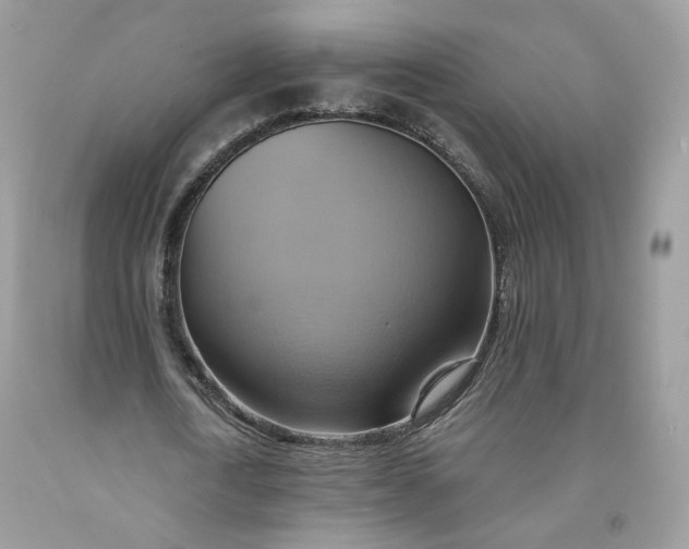 X0000091580722200709051100