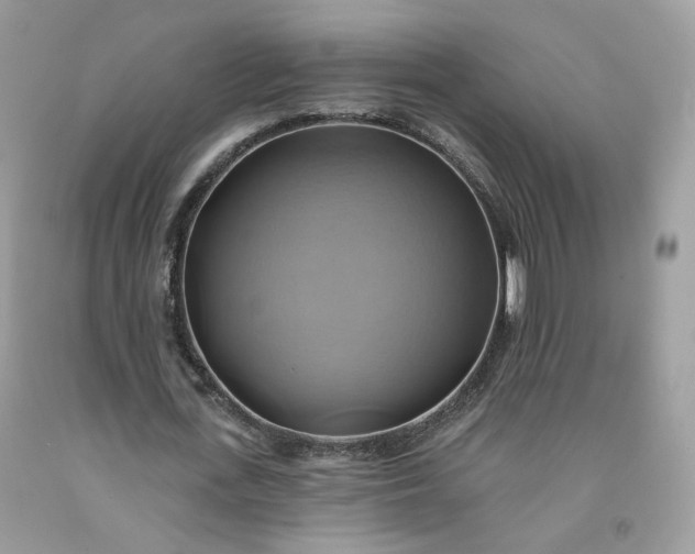 X0000091580723200709051100