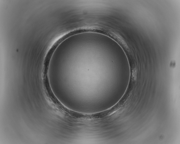 X0000091580724200709051100