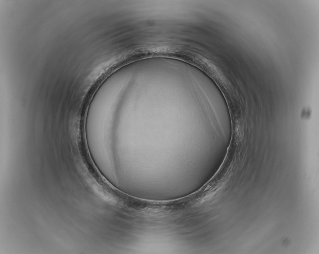 X0000091580725200709051100