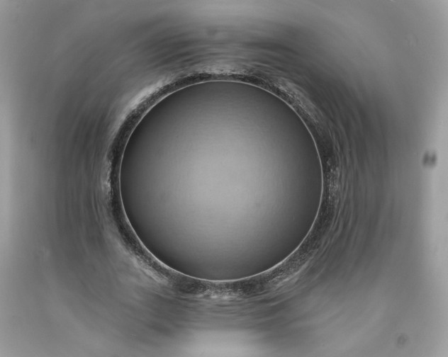 X0000091580727200709051100