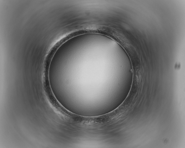 X0000091580728200709051100