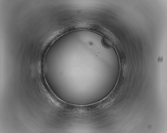 X0000091580729200709051100