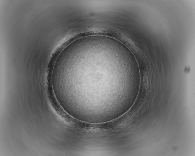 X0000091580730200709051100