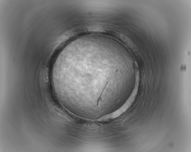 X0000091580731200709051100