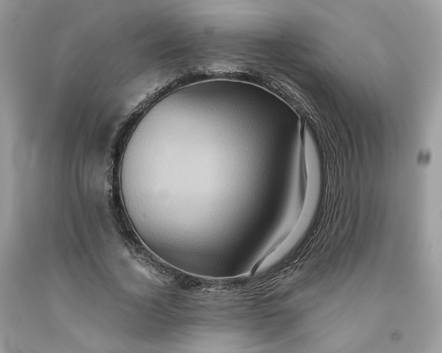 X0000091580732200709051100