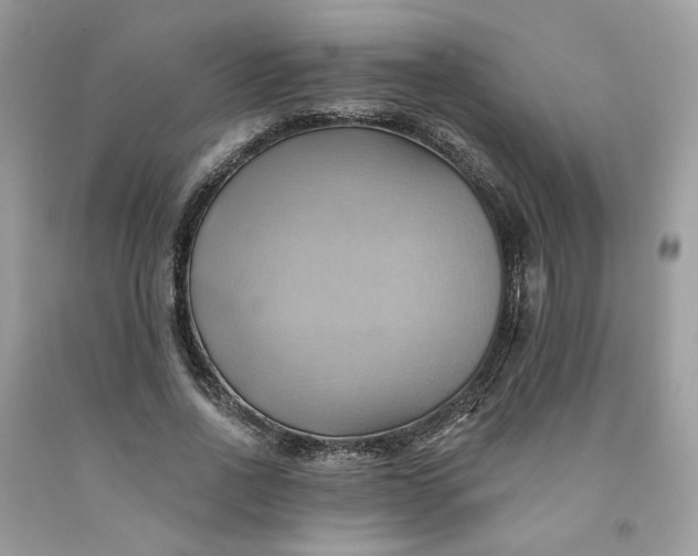 X0000091580734200709051100