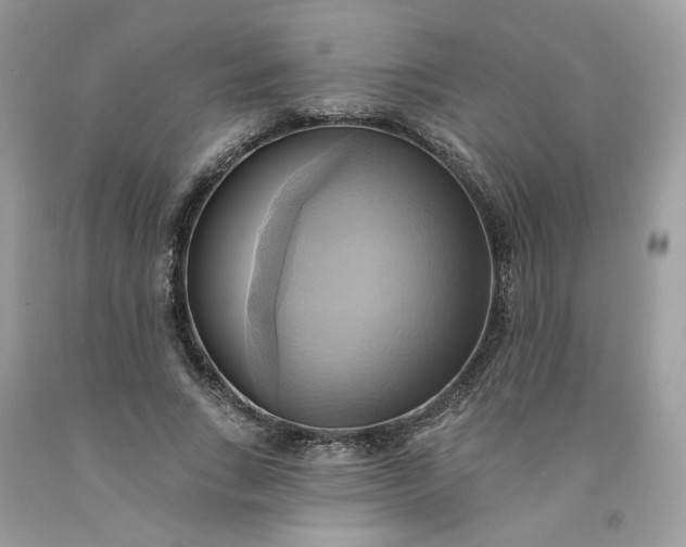 X0000091580735200709051100