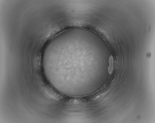 X0000091580739200709051100