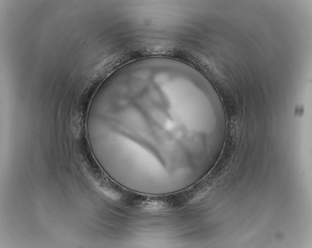 X0000091580741200709051100