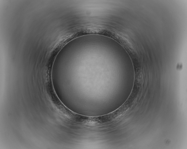 X0000091580743200709051100