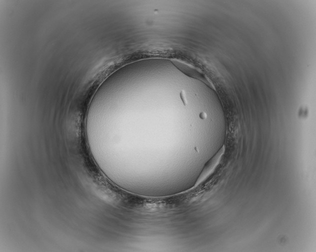 X0000091580744200709051100