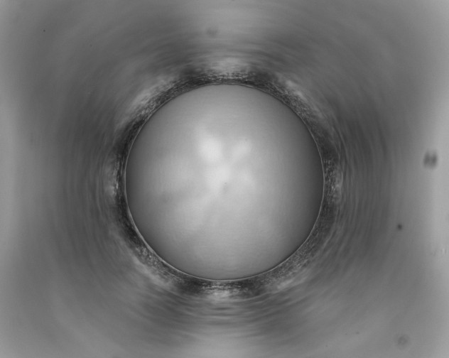 X0000091580746200709051100