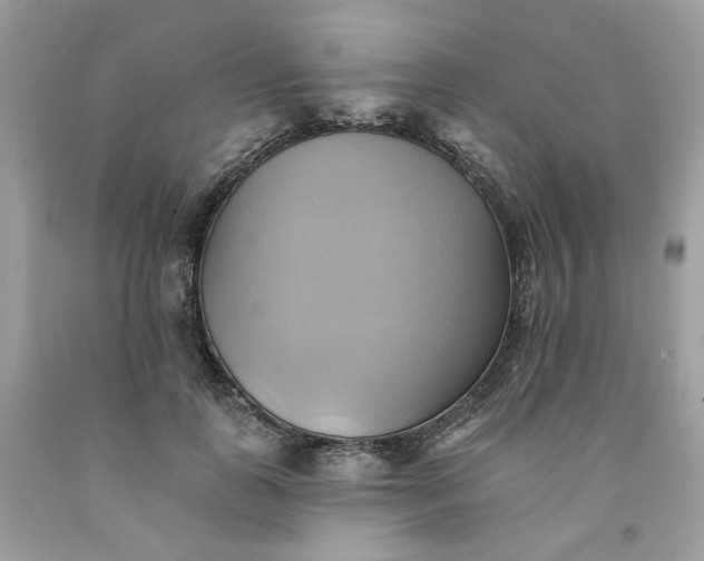 X0000091580747200709051100