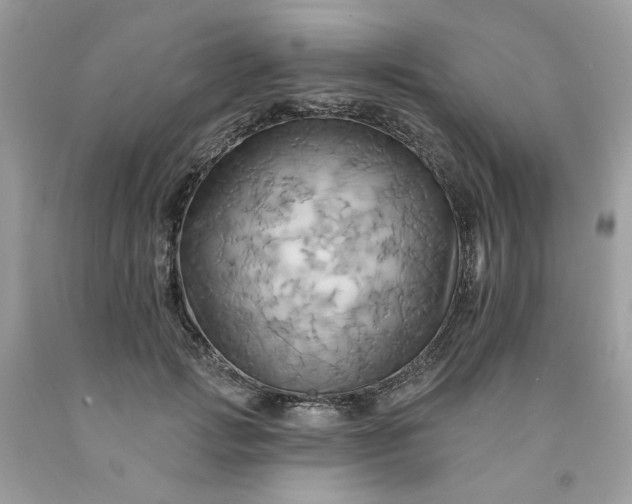 X0000091580749200709051100