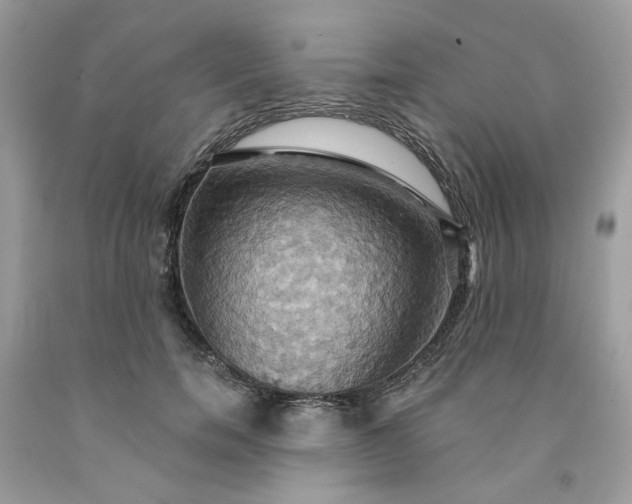 X0000091580750200709051100