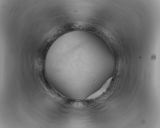 X0000091580751200709051100