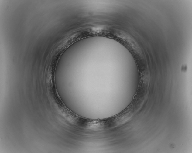 X0000091580754200709051100