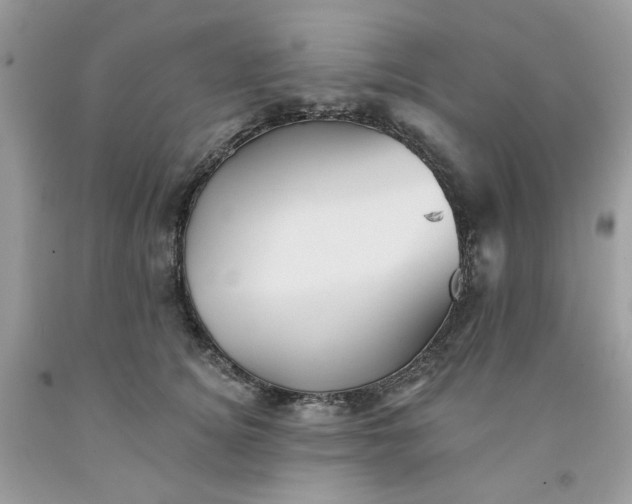 X0000091580756200709051100