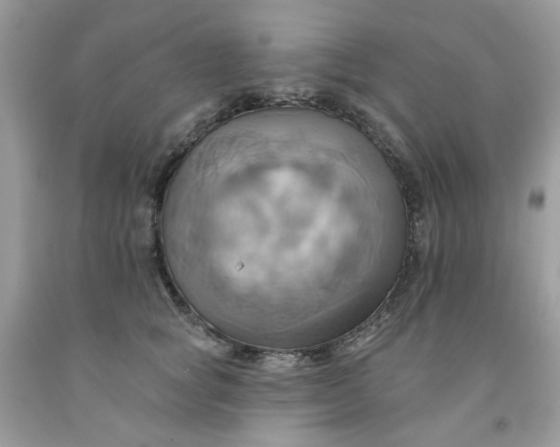 X0000091580757200709051100