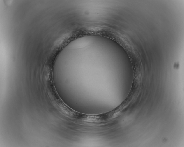 X0000091580758200709051100