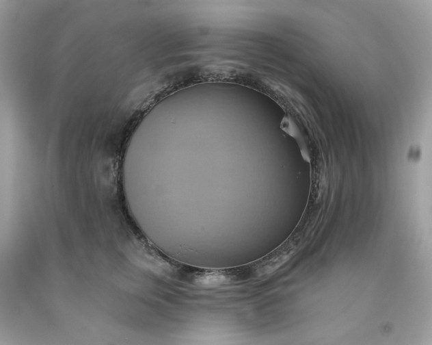 X0000091580759200709051100