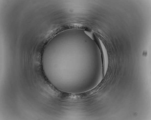 X0000091580760200709051100