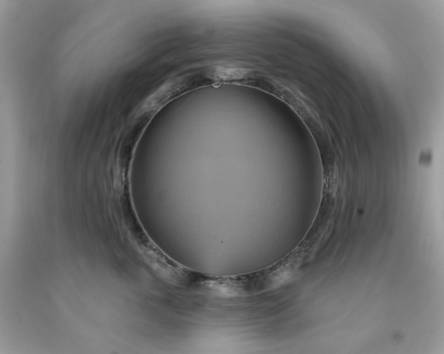 X0000091580763200709051100