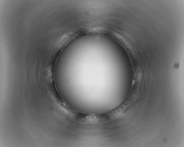 X0000091580764200709051100