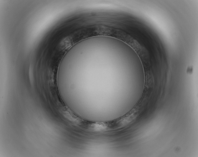 X0000091580765200709051100