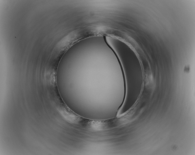 X0000091580766200709051100