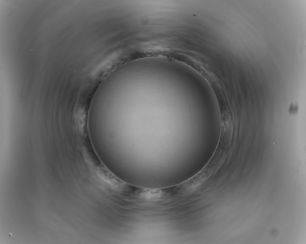 X0000091580767200709051100