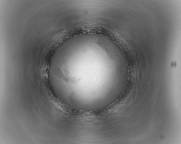 X0000091580770200709051100