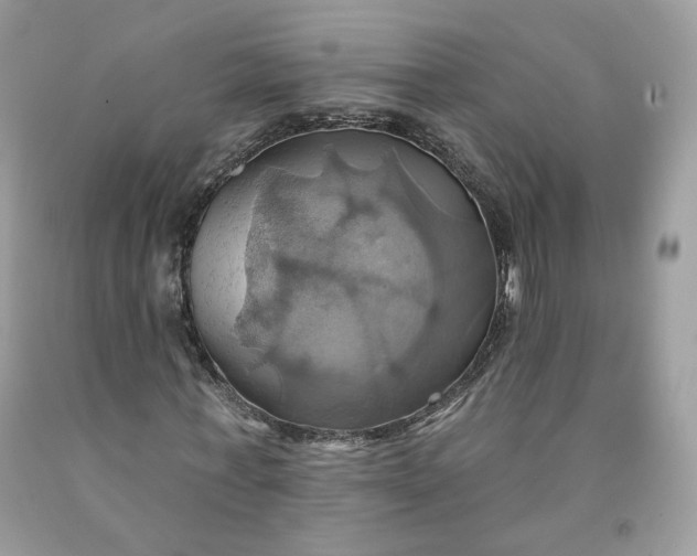 X0000091580771200709051100