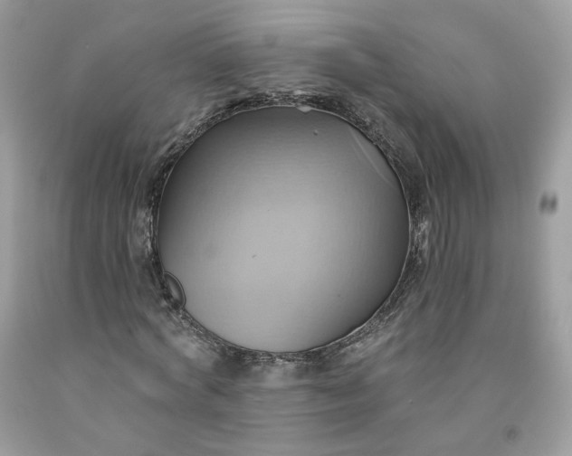 X0000091580772200709051100