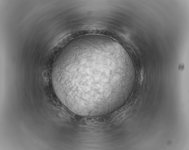 X0000091580774200709051100