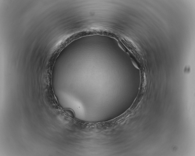 X0000091580776200709051100