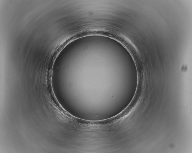 X0000091580777200709051100