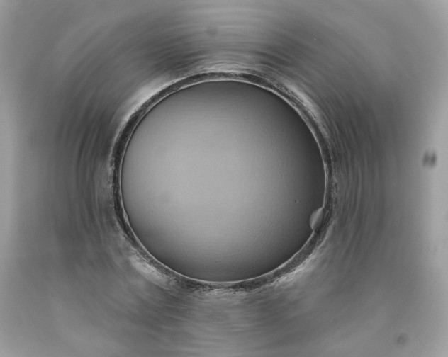 X0000091580779200709051100