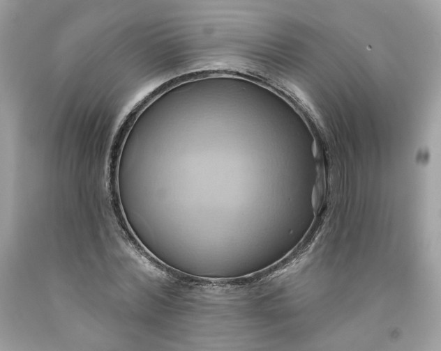 X0000091580780200709051100