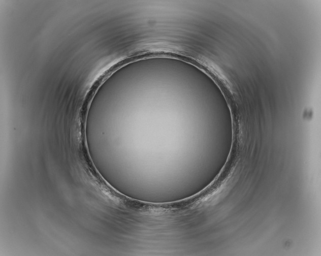 X0000091580782200709051100