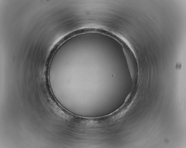 X0000091580783200709051100