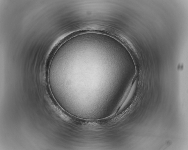 X0000091580784200709051100