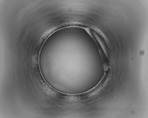 X0000091580785200709051100