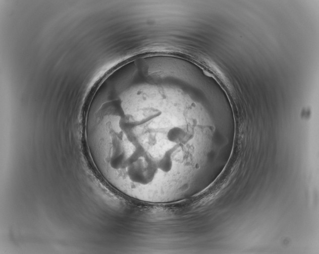 X0000091580787200709051100