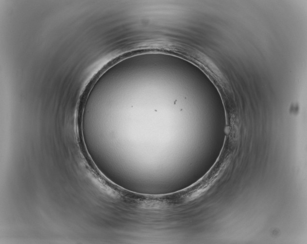 X0000091580788200709051100