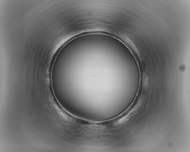 X0000091580789200709051100