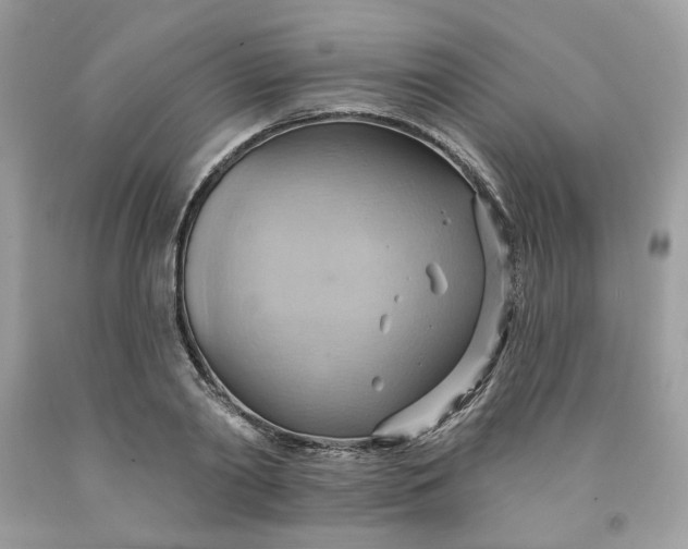 X0000091580790200709051100